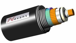 �ɂ�TSO�͸ߜ���|��ͬ